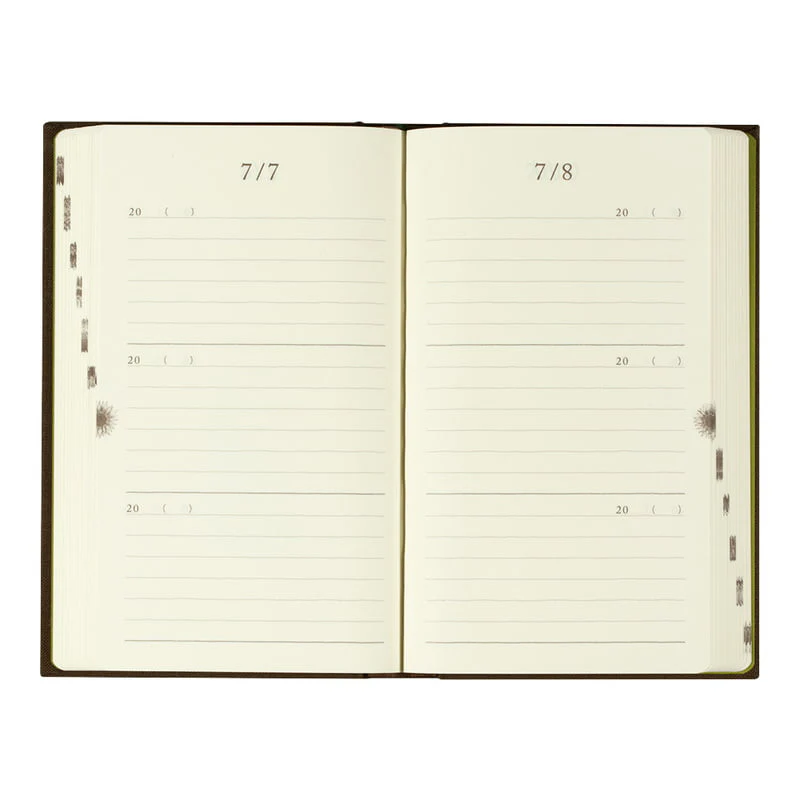 Daily Diary 3 Years Gate Brown - Image 3