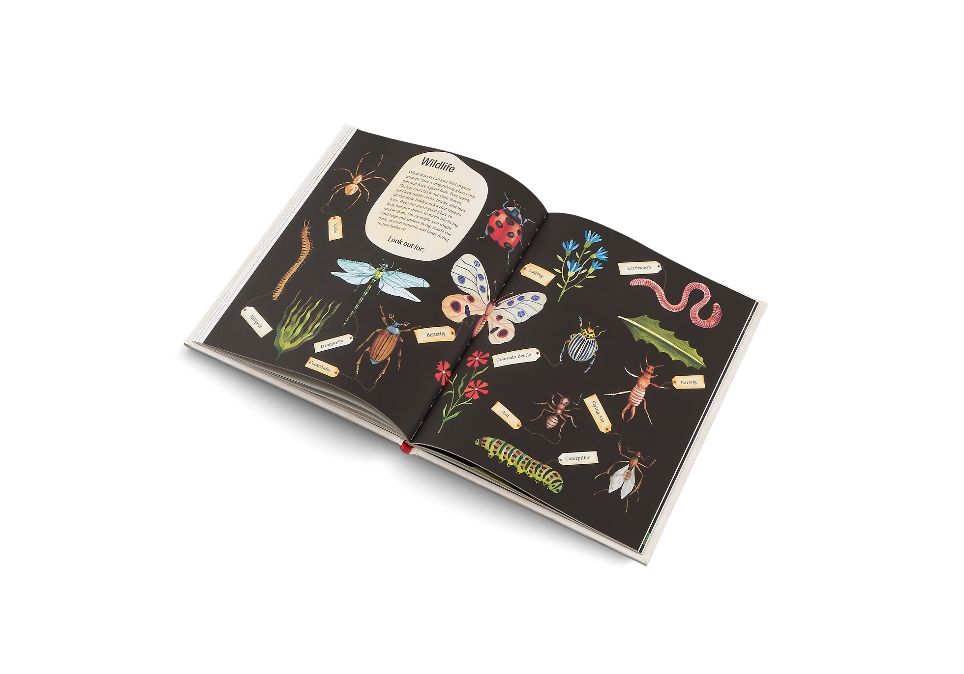Easy Peasy - Gardening for Kids - Das Buch für kleine Gärtner - Image 3