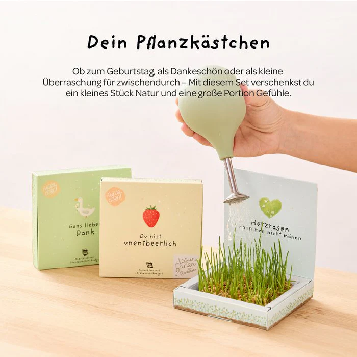 Pflanzkästchen HDGDL - Hab Dich ganz doll lieb - Image 6