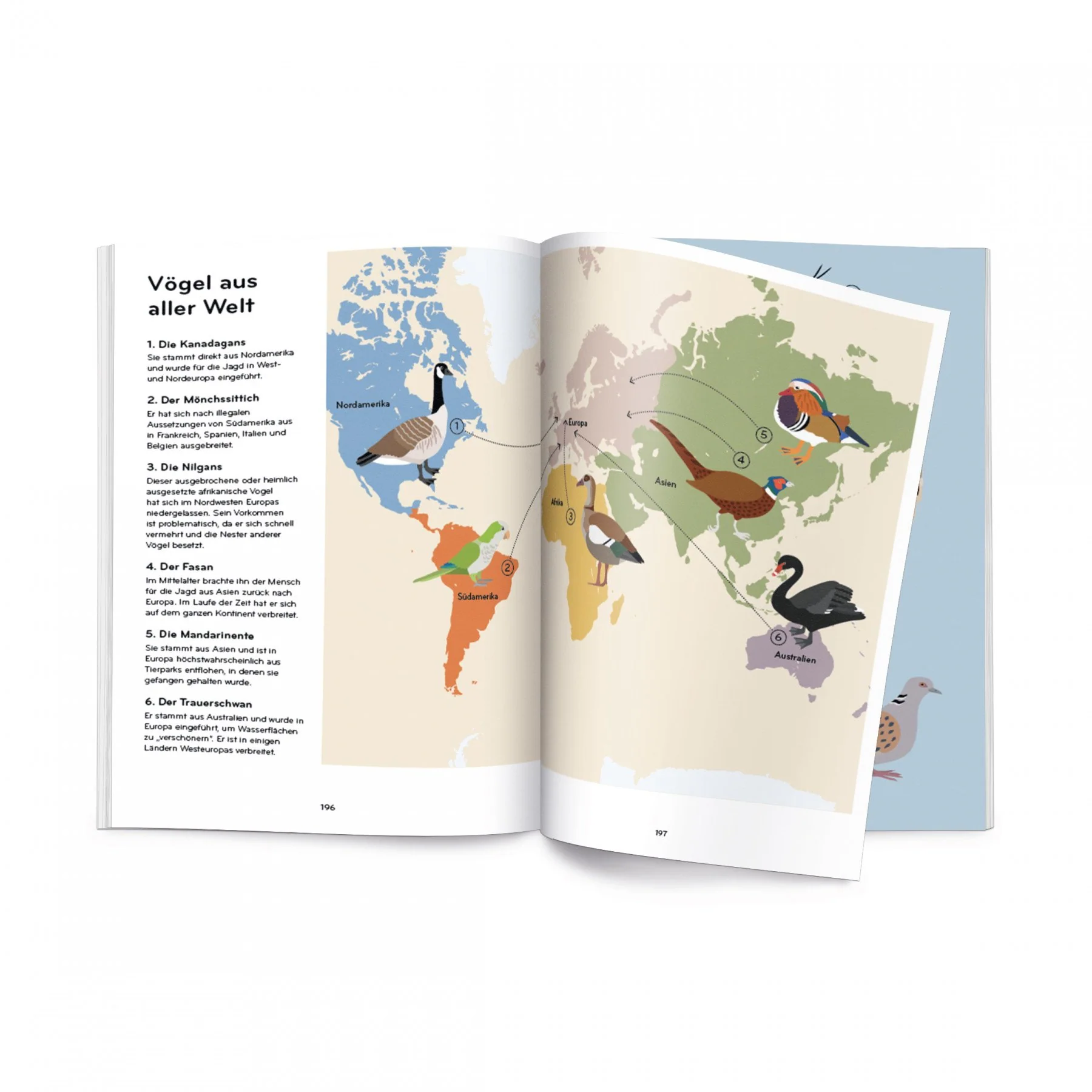 Ornithorama - Image 8