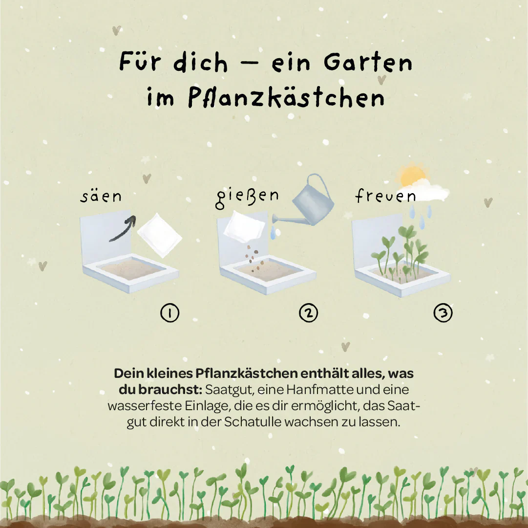Pflanzkästchen - Viel Erfolg du Glückskind - Image 3