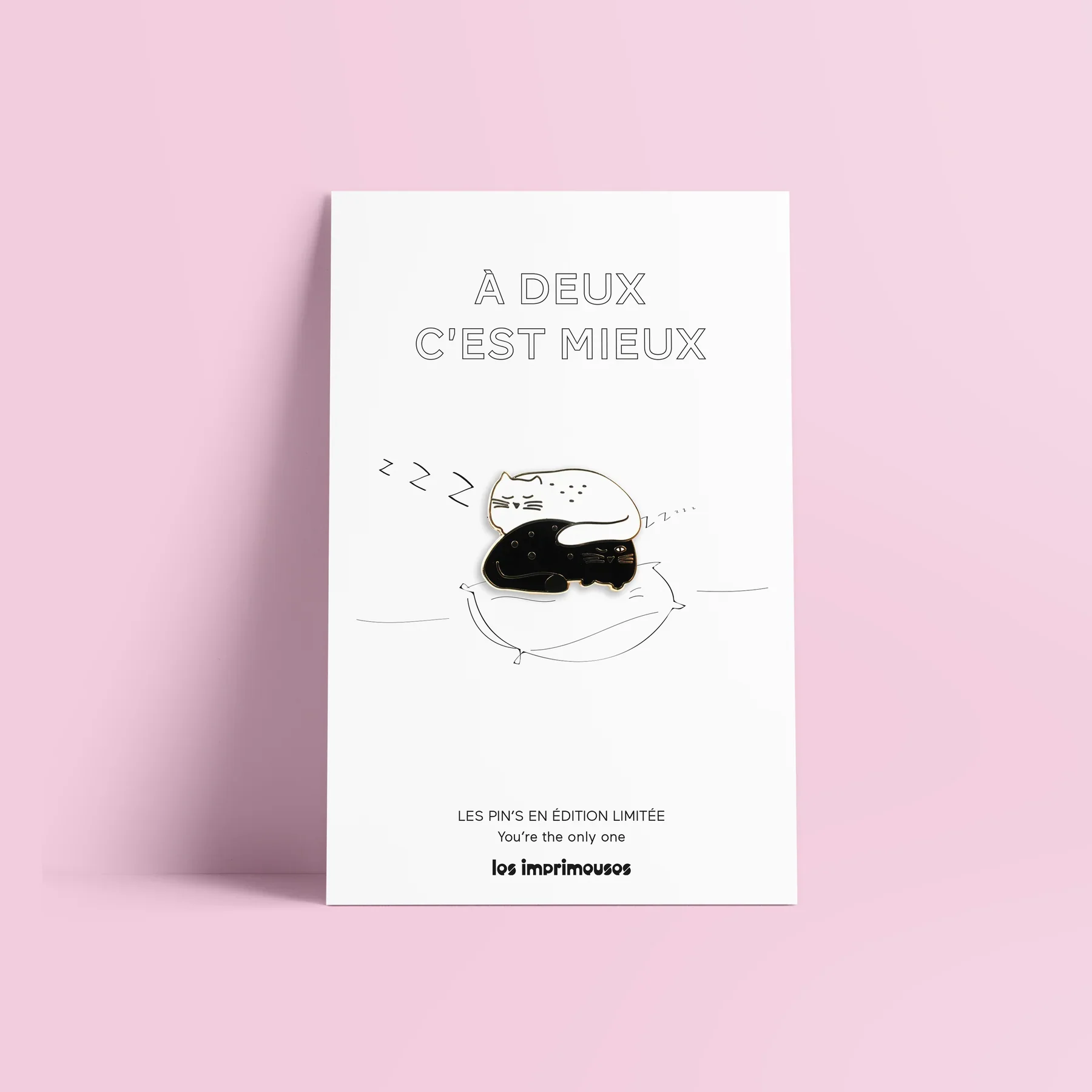 Pin | Chat noir chat blanc - À deux c'est mieux