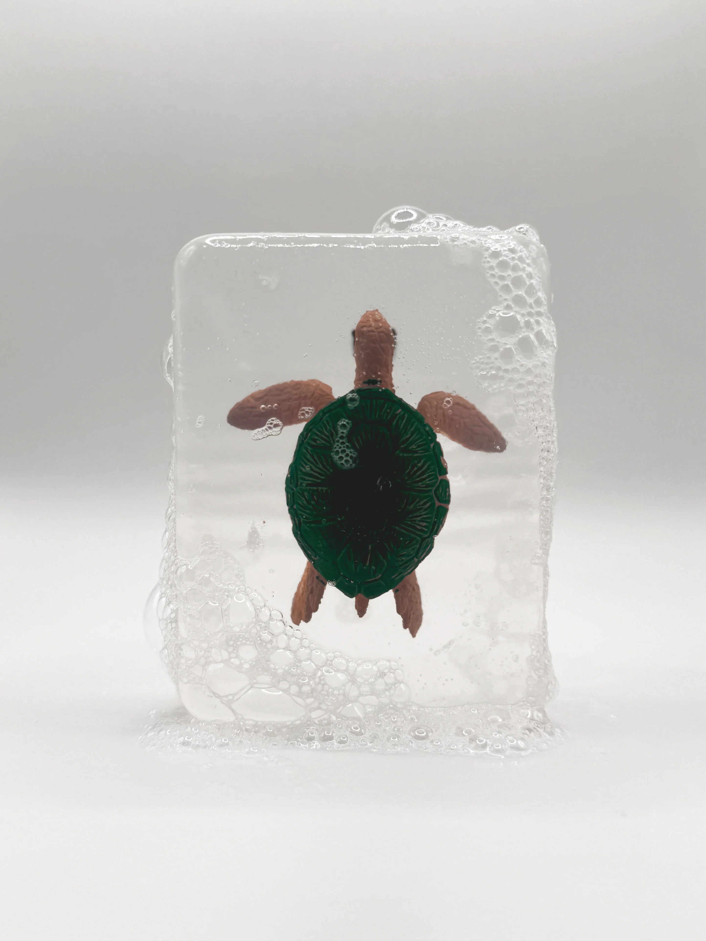 Seife | Schildkröte