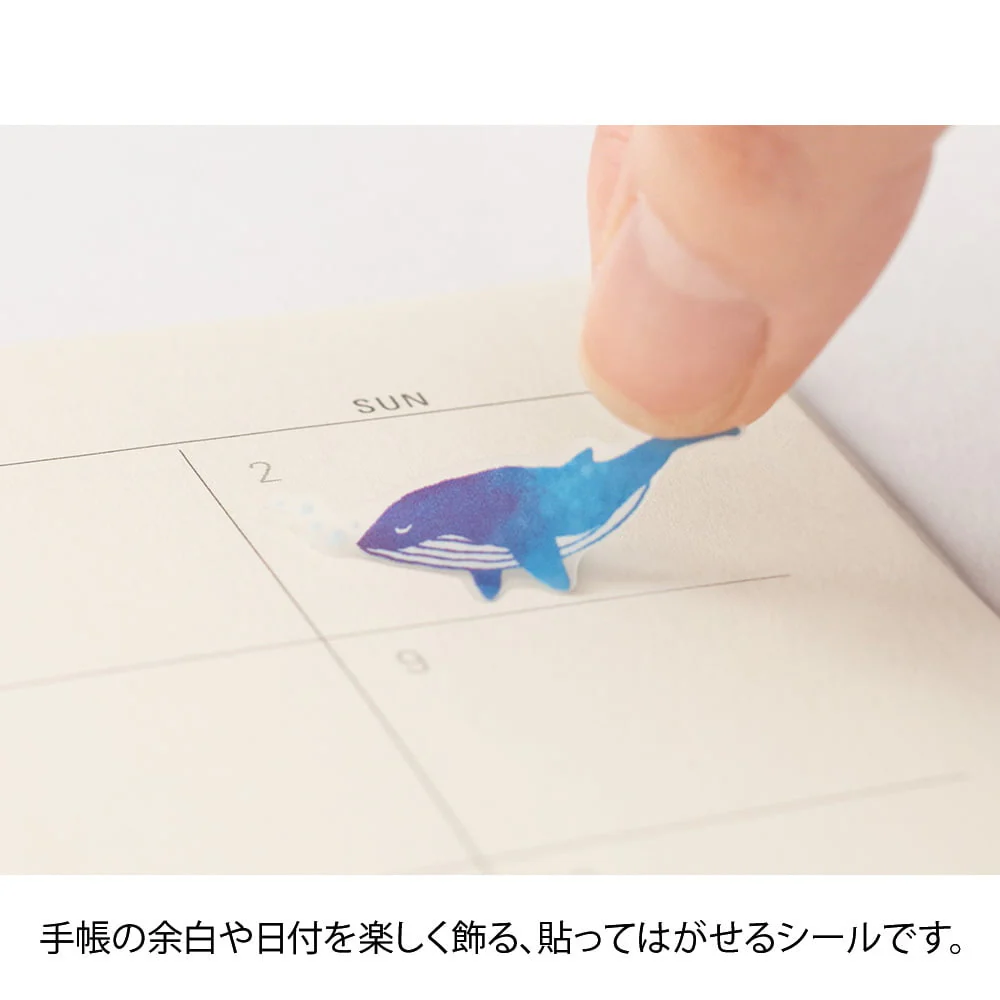 Sticker Color Blau - Image 4