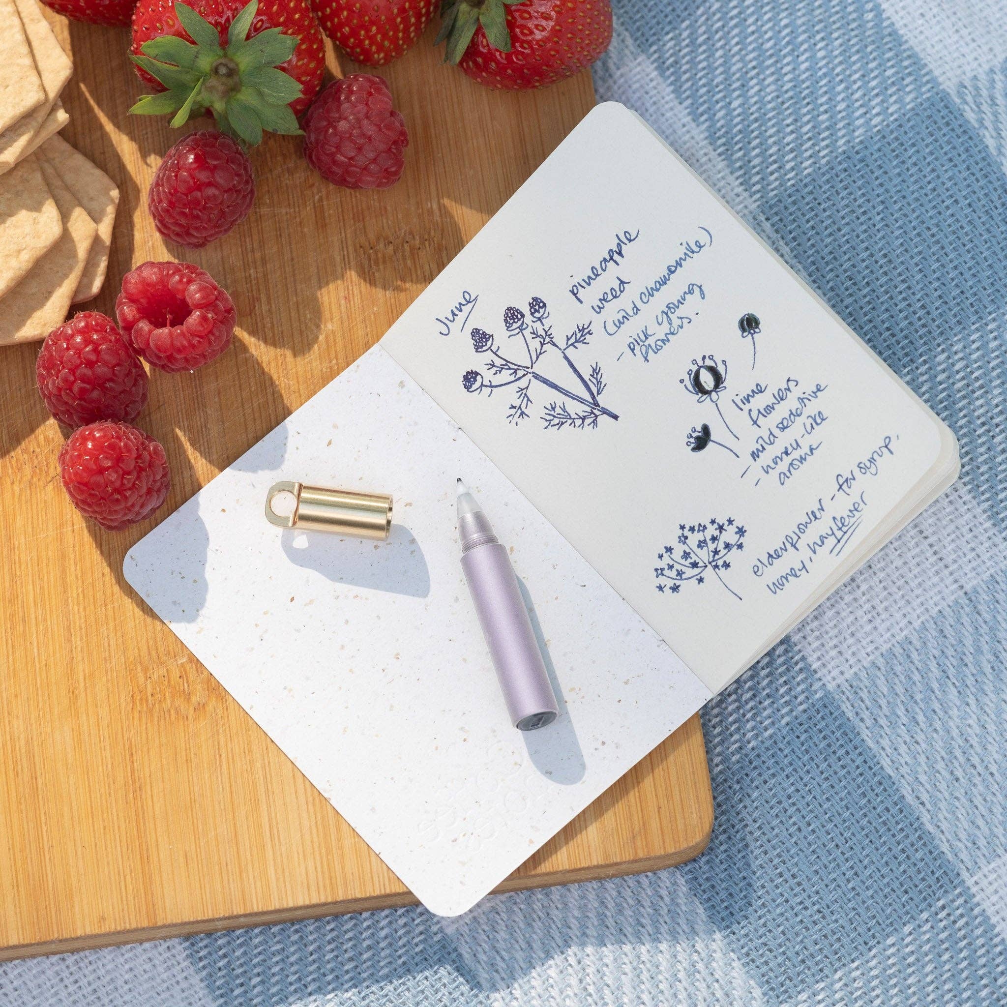 The Field Mouse – refillable travel pen: Midnight - Image 16