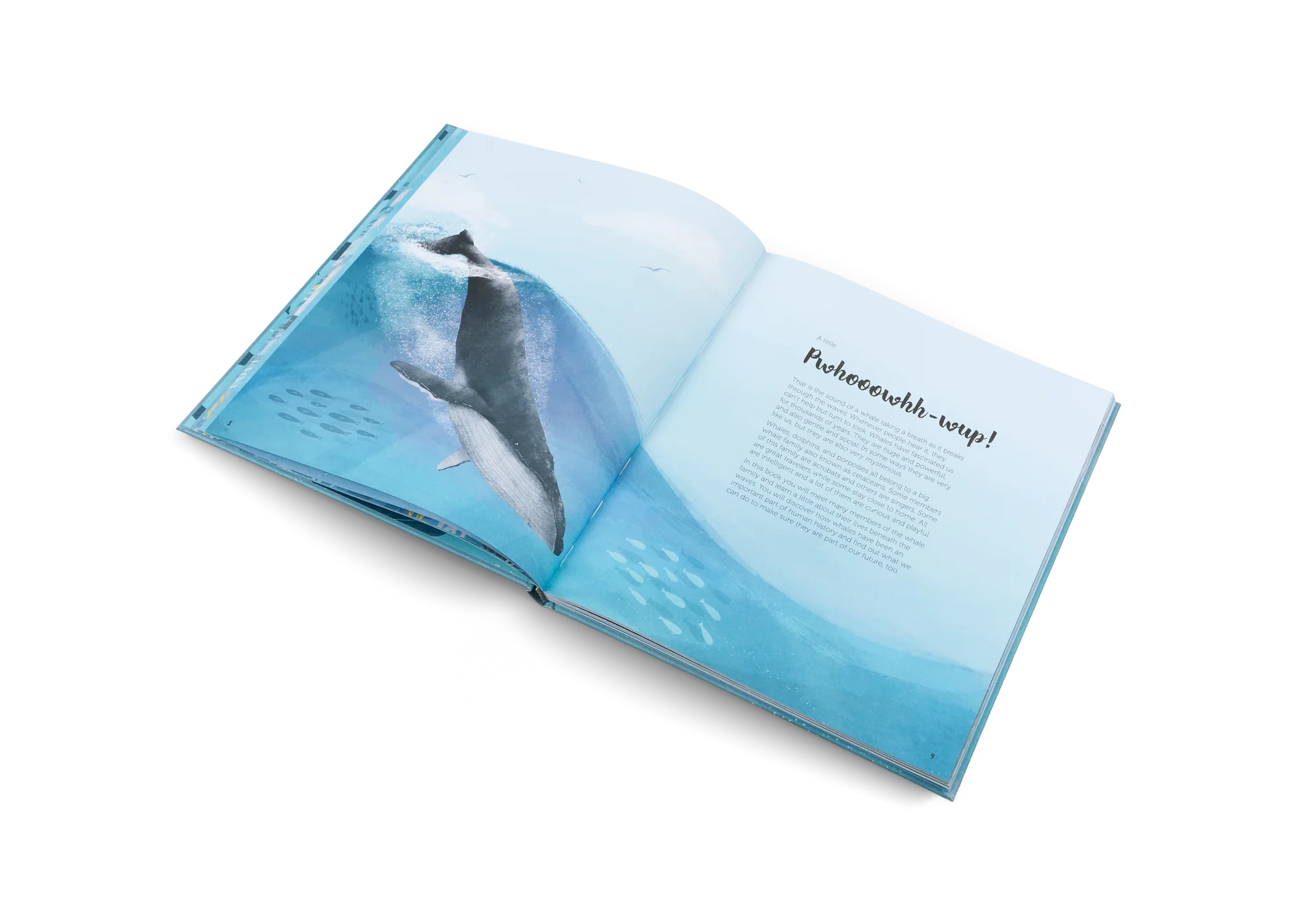 The World of Whales - Image 2