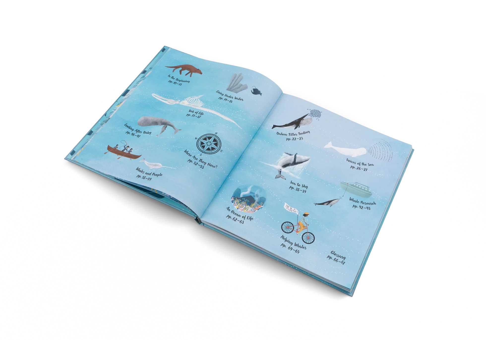 The World of Whales - Image 3