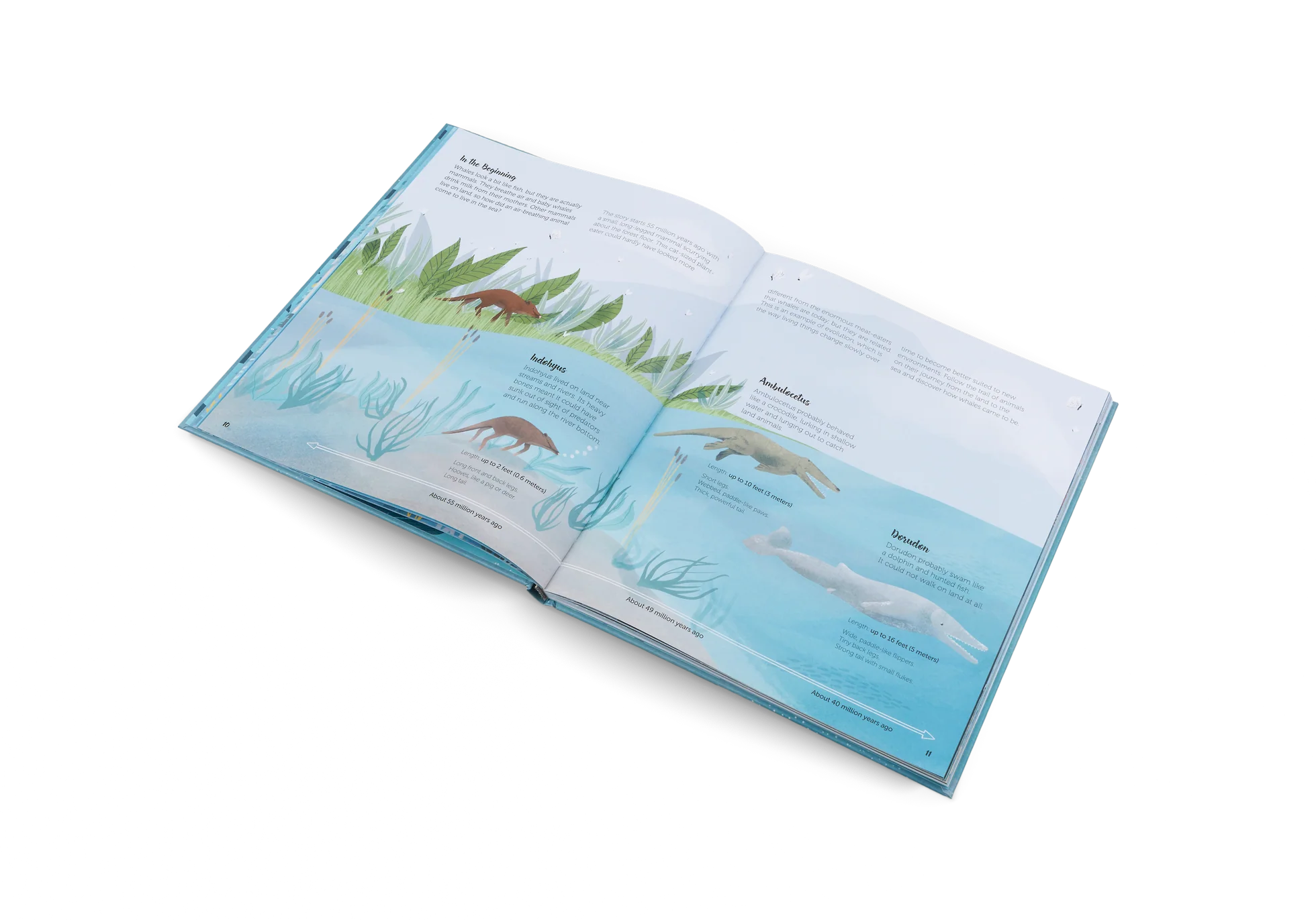 The World of Whales - Image 4