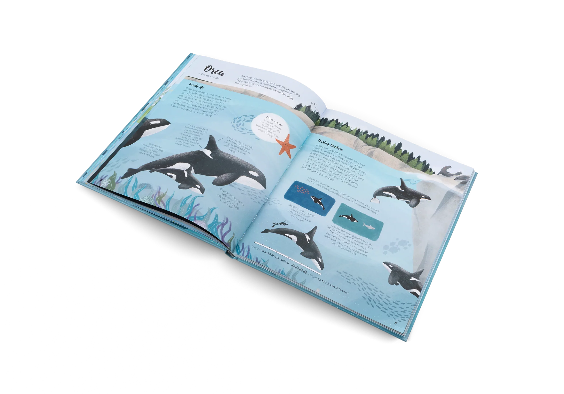 The World of Whales - Image 6